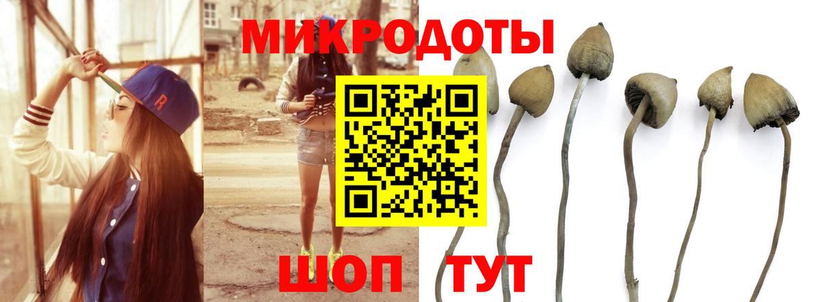 Псилоцибиновые грибы Psilocybine cubensis Ишимбай